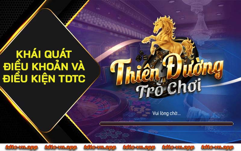 Khái quát điều khoản và điều kiện TDTC