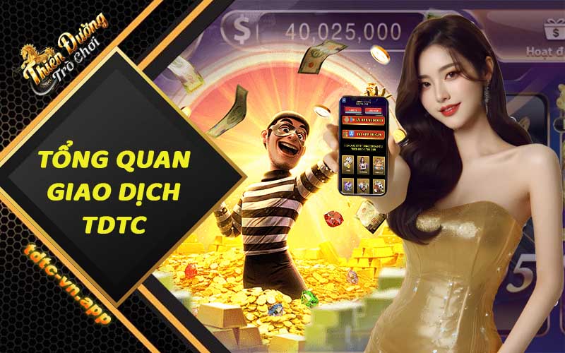 Tổng quan về giao dịch nạp rút tiền TDTC